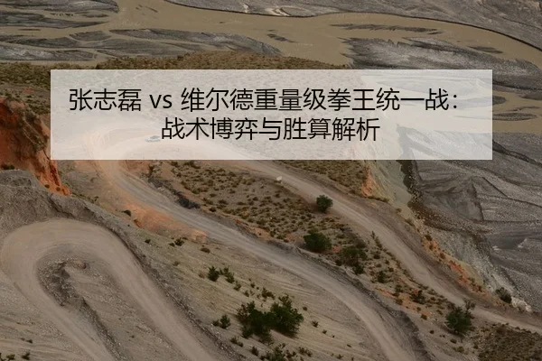 张志磊 vs 维尔德重量级拳王统一战：战术博弈与胜算解析